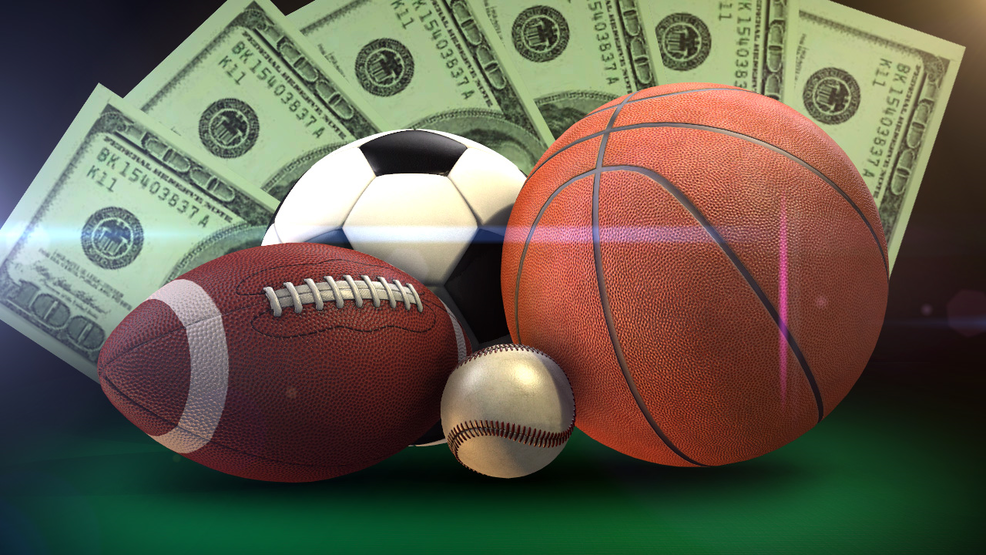 Everything You Need to Know About Yipeebet Everything You Need to Know About Yipeebet
